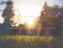 Tablet Screenshot of boldashev.com